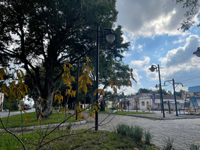 Zona Sul terá semana de tempo instável e ventos moderados