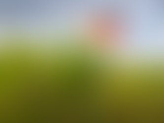 Federarroz, Farsul e COOPACC solicitam medidas urgentes para o setor arrozeiro