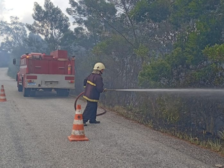 Incêndio atinge vegetação em Arroio Grande