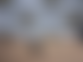 Homem é detido por porte ilegal de arma em Capão do Leão