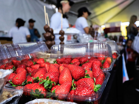 Festa do Morango terá 14 empreendimentos locais na Agricultura Familiar em Pelotas