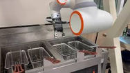 Unraveling the Impact of Cobots in the Food Industry: A Technical Analysis