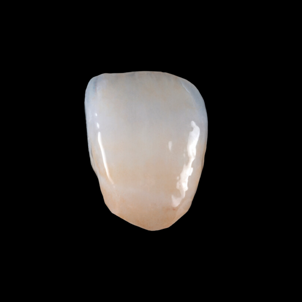 Dentalfix (11)