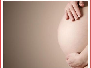 More highly educated women are having children, study says