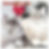 IMG_1872.PNG