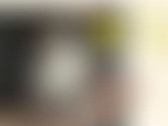 a tail of a lost cat