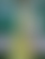 Spring 2021 ~ New York City~