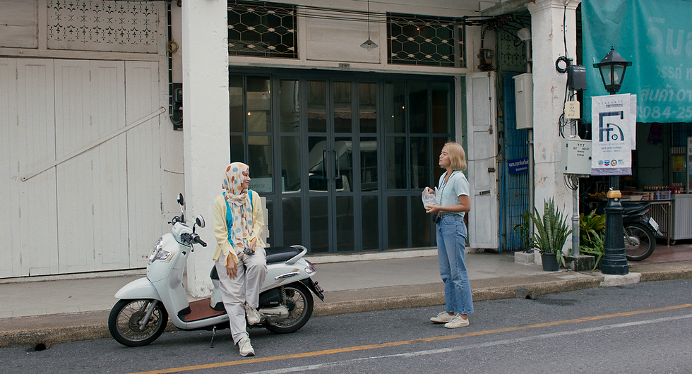 Solids by the Seashore(2023)