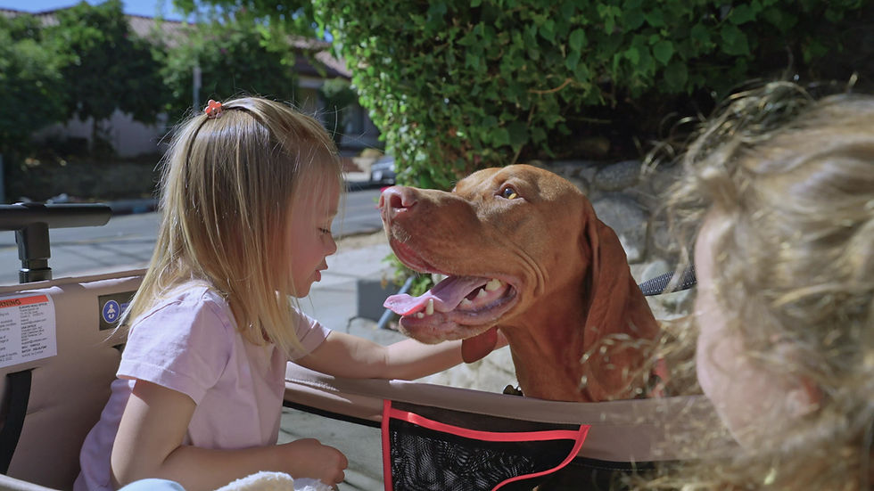 Thumbnail: yvolution stroller kids wagon video