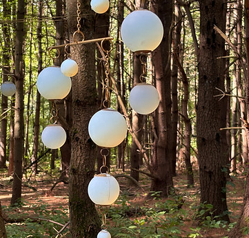 art installation in the woods