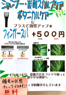 炭酸シャンプーの紹介