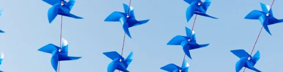 KITES_edited.webp