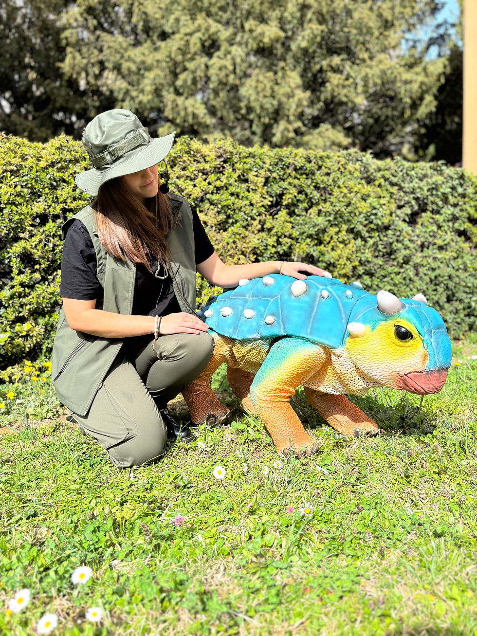 Miniature : Spectacle dinosaure interactif avec animateur et bébé dinosaure