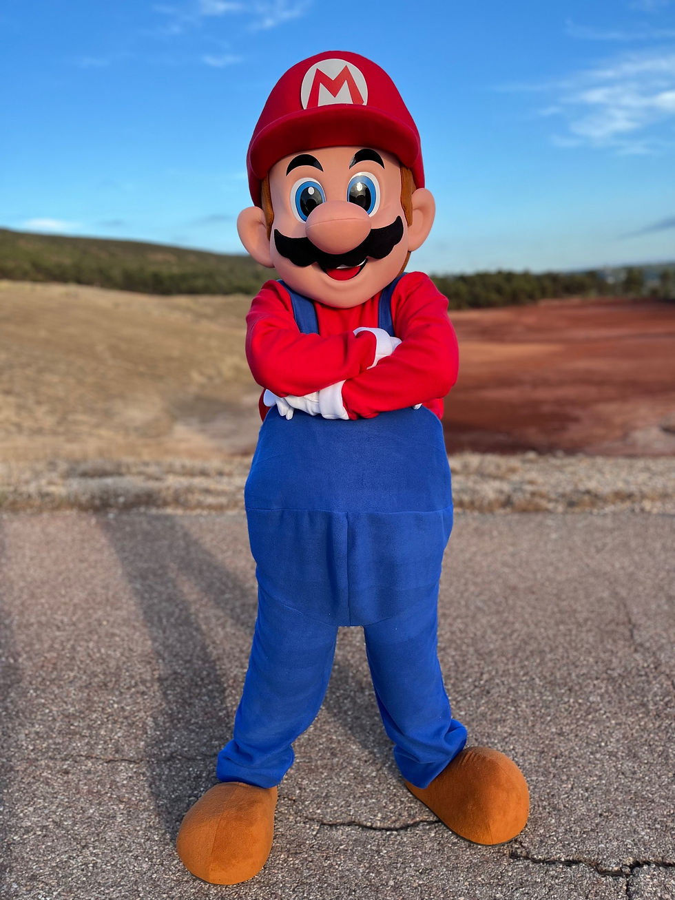 Miniature : Achat Mascotte Mario - Modèle JDR