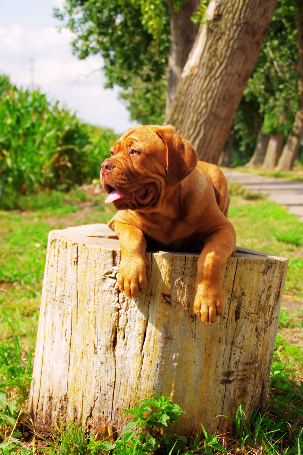 Ontwerp zonder titel (24)