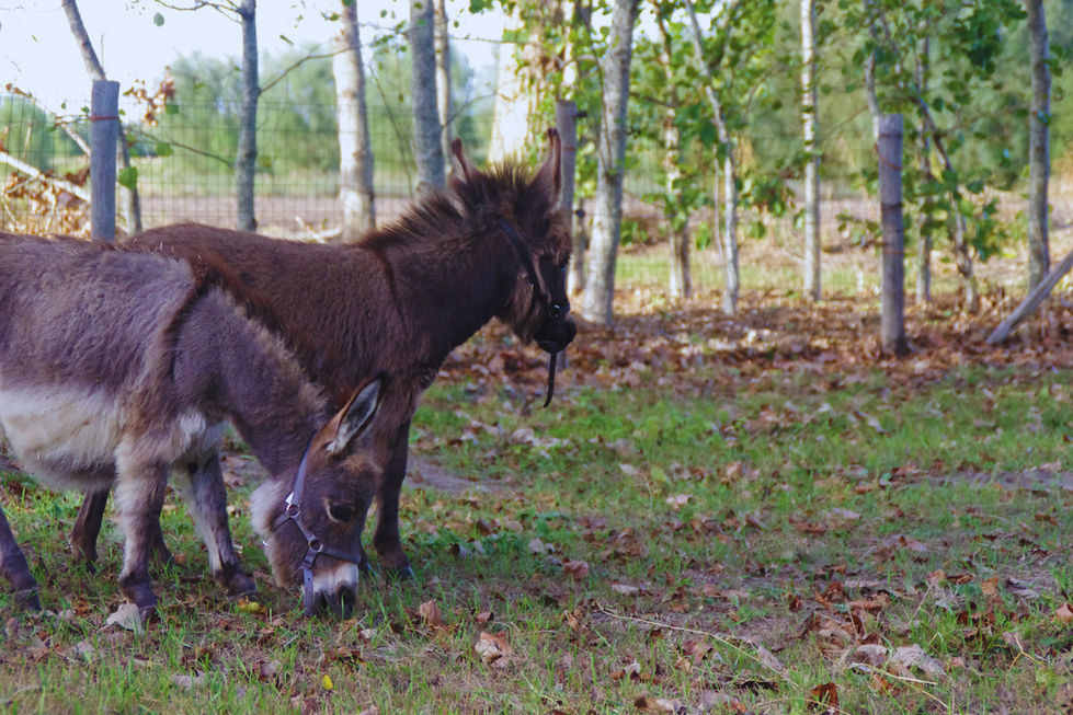 f7f9d3e8-0ed8-4241-8779-f0345a58a43a