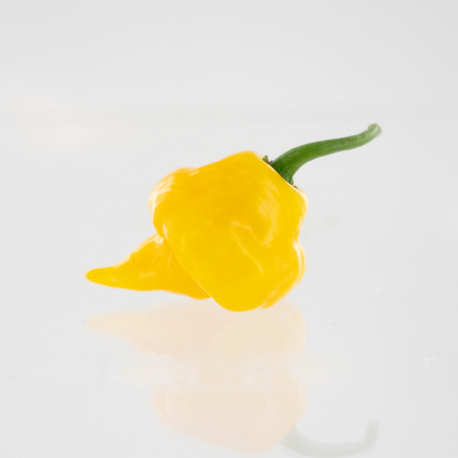 Trinidad Perfume Pepper