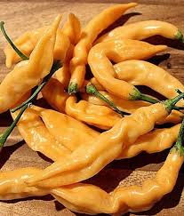 Aji Melocoton