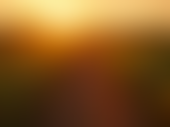 Chili Farm Chronicles: From Seeds to Savory Sizzle