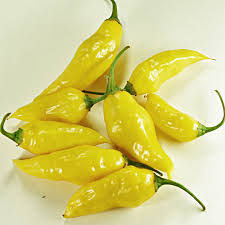 Aji Mochero