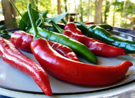Lombok Chilli Seeds