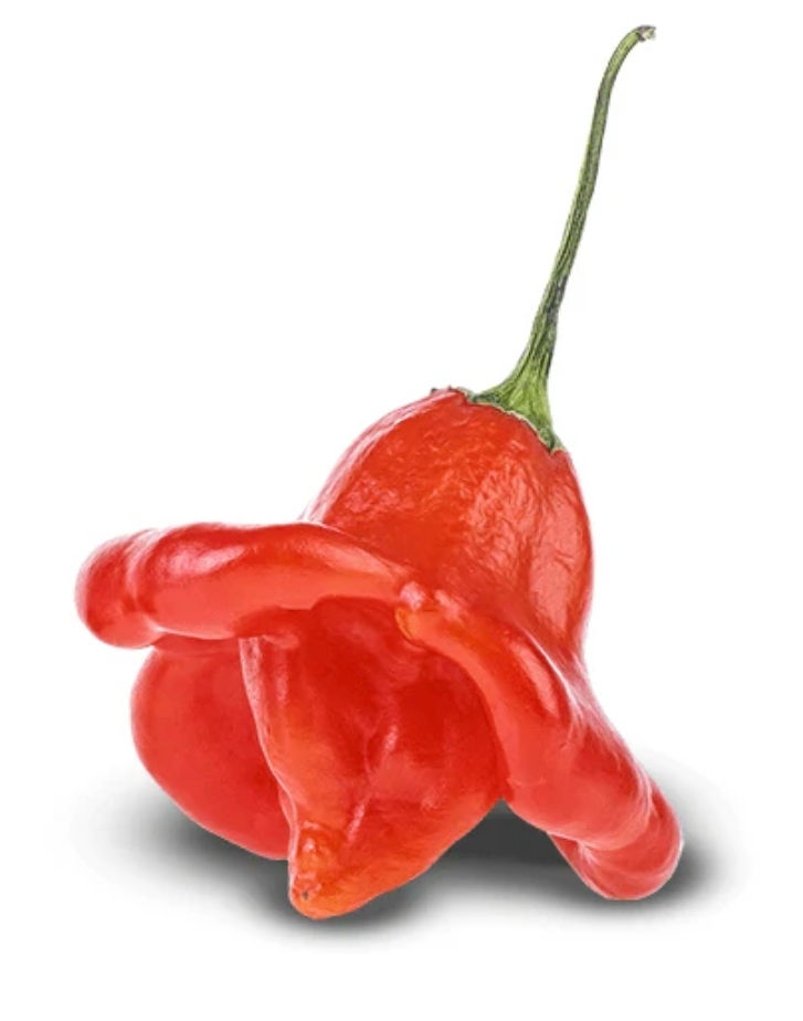 Bishops Crown Pepper