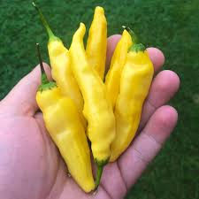 Aji Pineapple