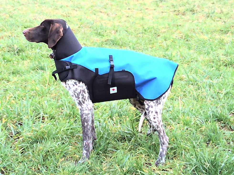 Miniature : Manteau hiver lecanicrosseur