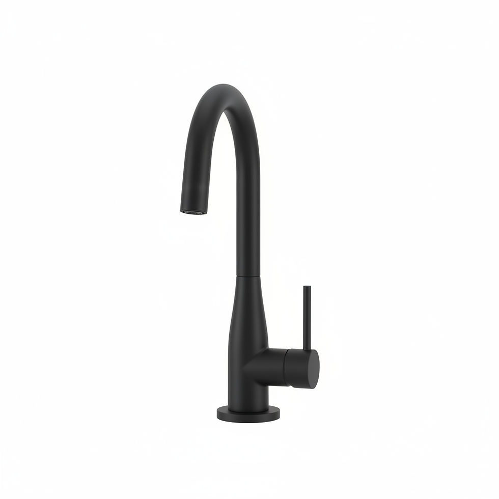 Matte Black Faucet