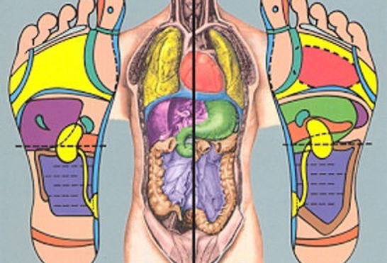 0482a7_9c8661af3f784fd4ab533895e1b9721f~mv2 (1)_edited_edited.jpg