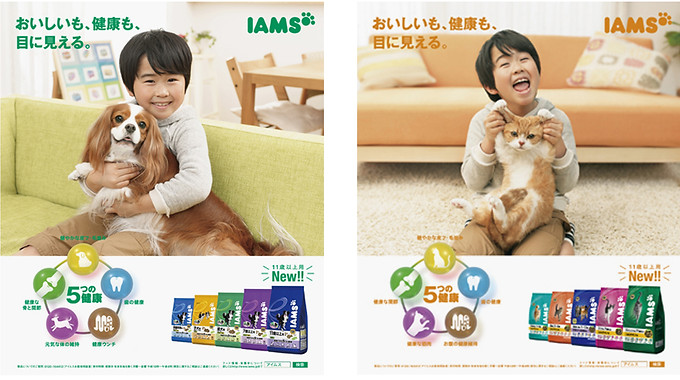 IAMS1_2.jpg