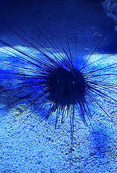 Screenshot_20250218_210123_Photos_edited