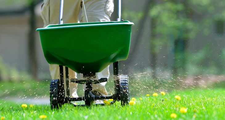 fertilizer1
