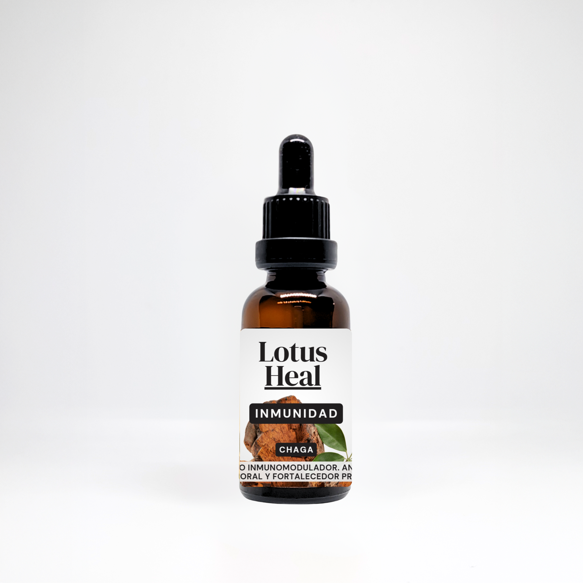 Inmunidad -  Chaga (Inonotus obliquus)