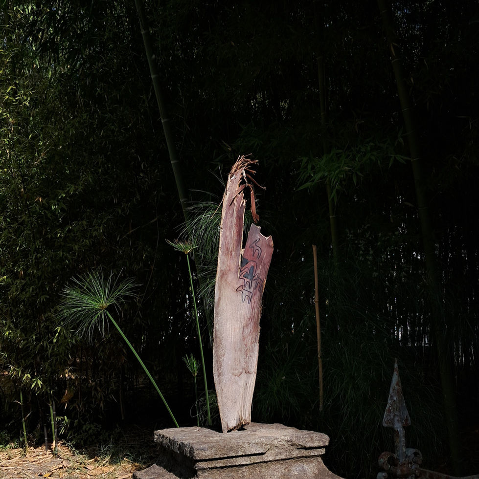 ib x genesi parallele