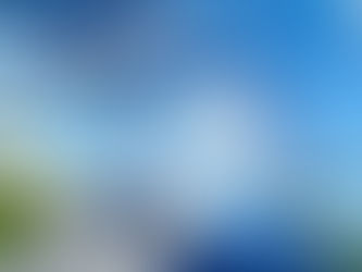 Airbus A320
Airliner