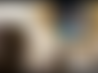 THE JENKINS FERRIS WEDDING