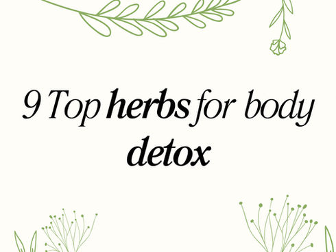 9 Top herbs for detox