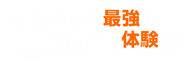 WGF-ヘッダー文字.png