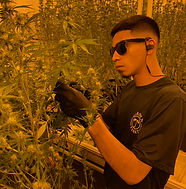 Aron Lopez Ramirez