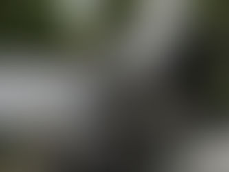 Una mujer acepta una propuesta de matrimonio justo antes de que su avioneta se estrelle