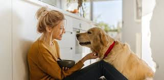 Estudio Revela que Las Personas Que Conversan y Responden por Sus Perros No Están Locas