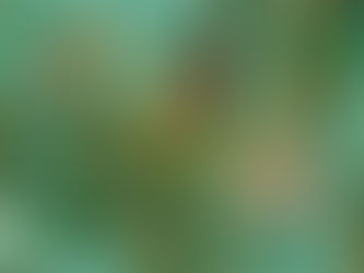 Conoce la trágica escena que inspira la portada del nuevo disco de Taylor Swift