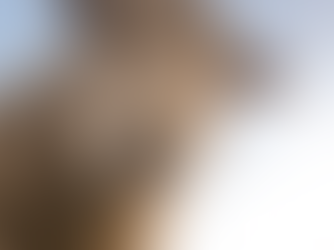 Pecuária Sustentável: Práticas para Reduzir o Impacto Ambiental.