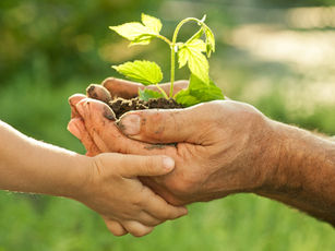 A Importância da Educação Ambiental: Capacitando para um Futuro Sustentável