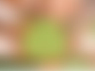 Os benefícios da reciclagem de materiais: Contribuindo para um futuro sustentável.