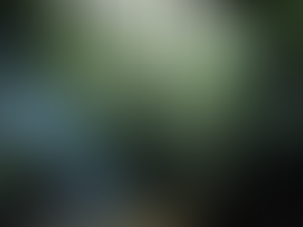 O guia definitivo dos créditos de carbono qualificado: tudo o que você precisa saber.