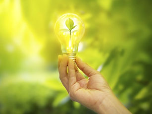 How technology can help in environmental preservation.