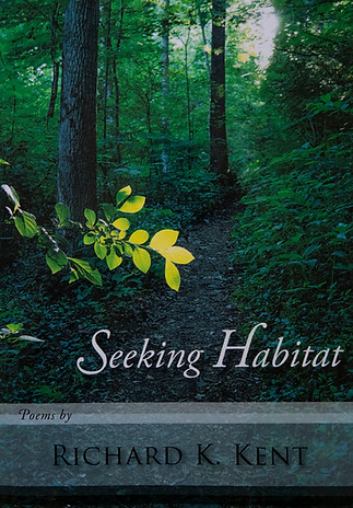 IMG_3525_Seeking H Book Cover_Adj_Cr_72ppi_2400.jpg