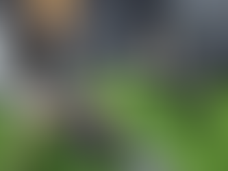 대한스포츠컨디셔닝협회 특강(패시브스트레칭)